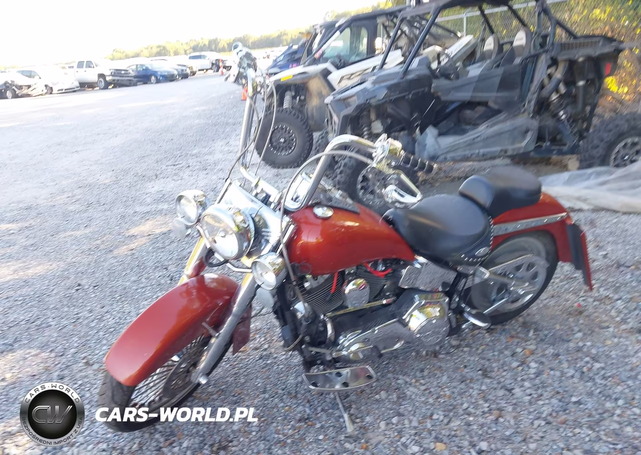 2005 Harley-Davidson Flstci VIN:1HD1BWB375Y079179 - 2