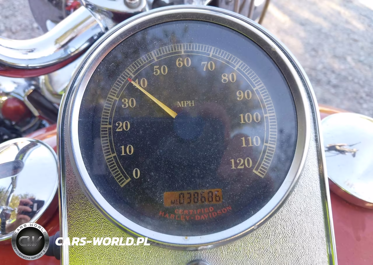 2005 Harley-Davidson Flstci VIN:1HD1BWB375Y079179 - 7