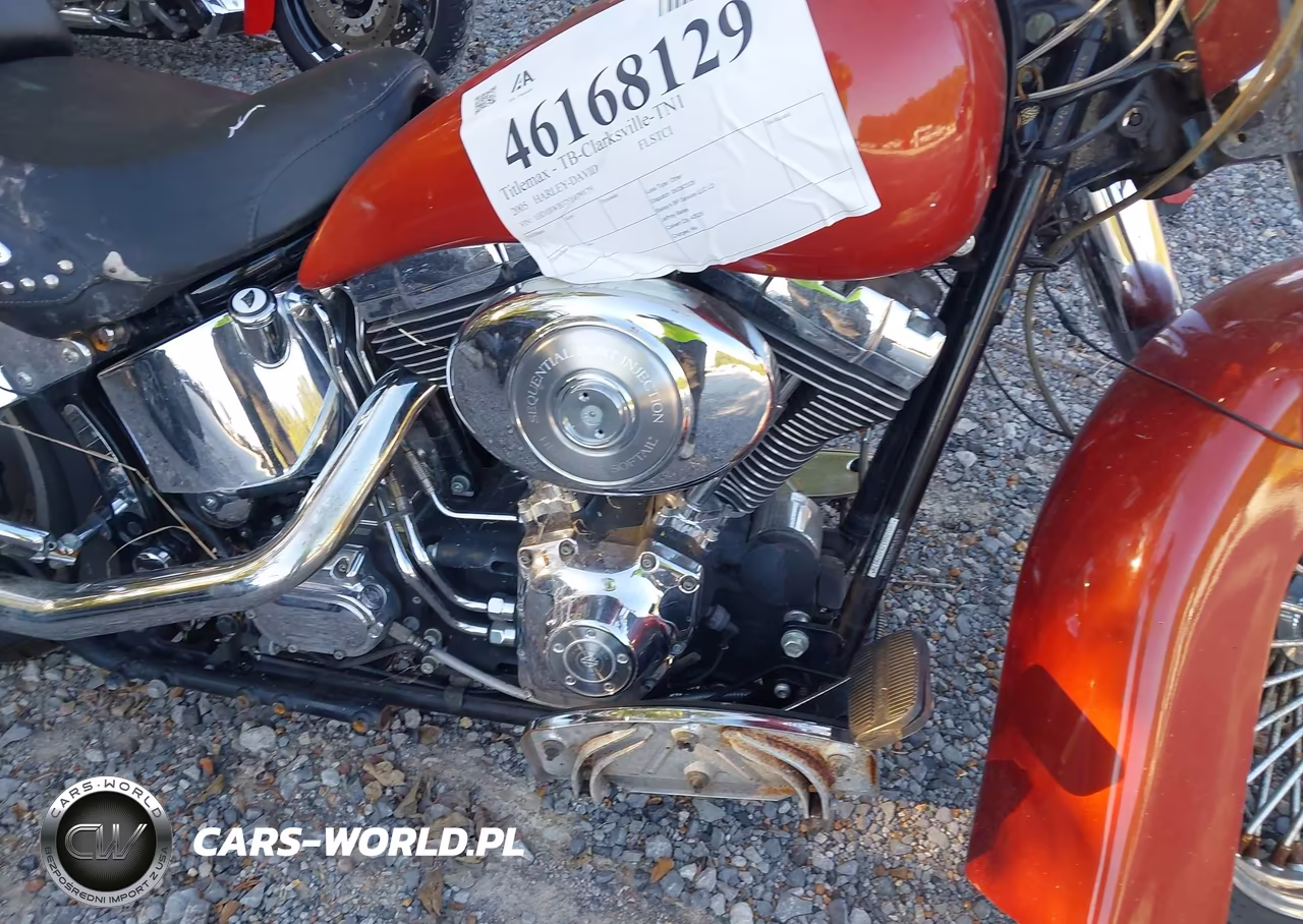 2005 Harley-Davidson Flstci VIN:1HD1BWB375Y079179 - 8