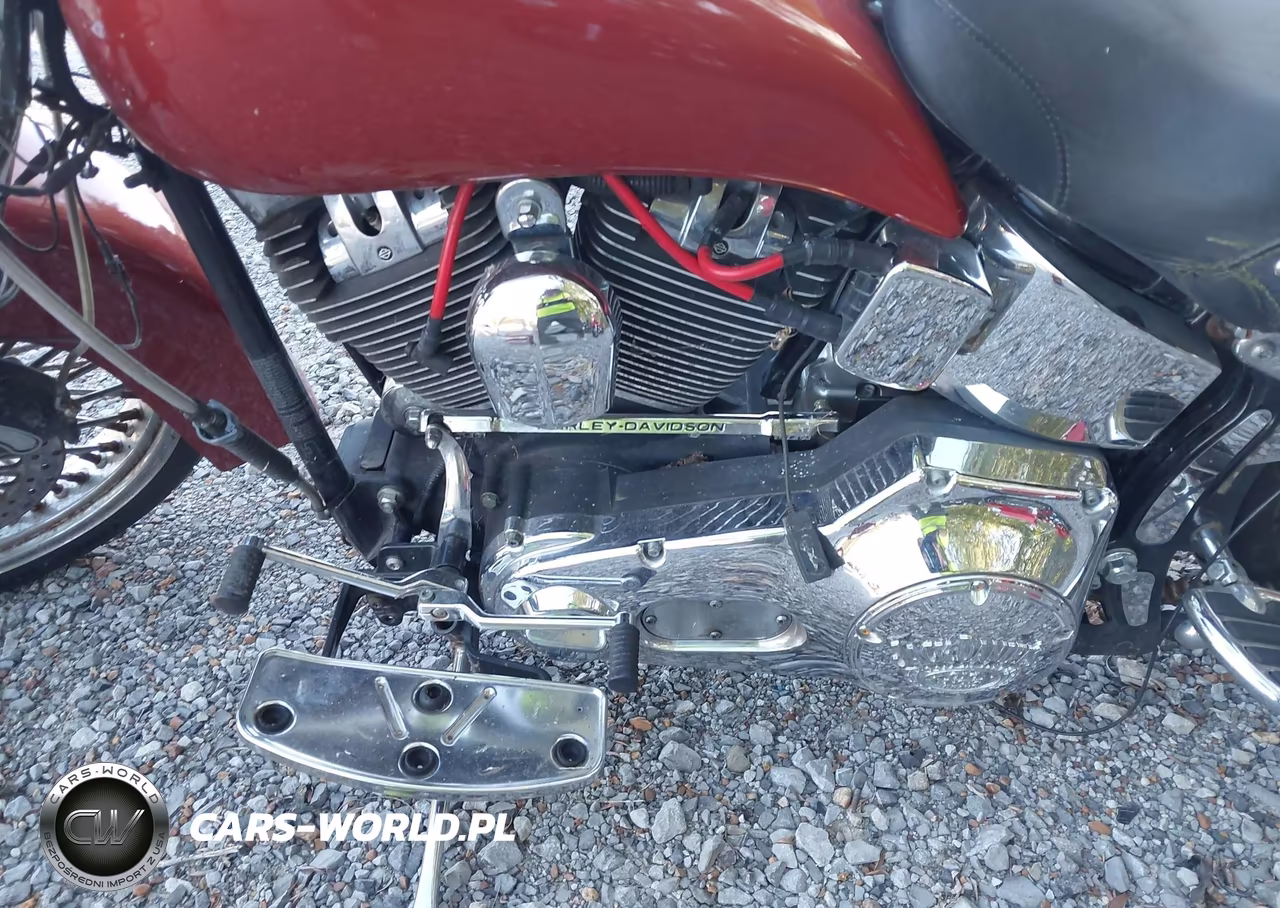 2005 Harley-Davidson Flstci VIN:1HD1BWB375Y079179 - 9