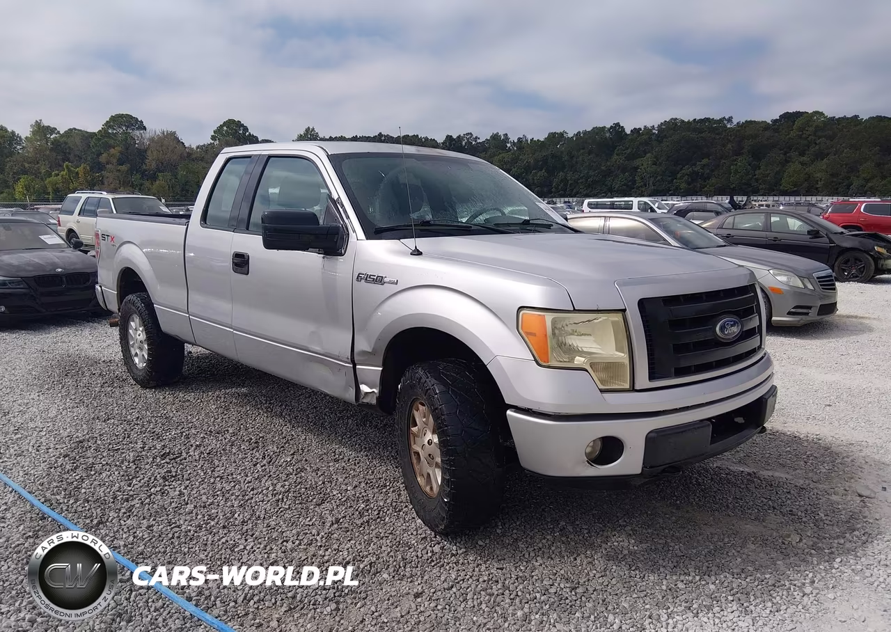 2010 Ford F-150 Stx-Xl – zdjęcie 1 z 16