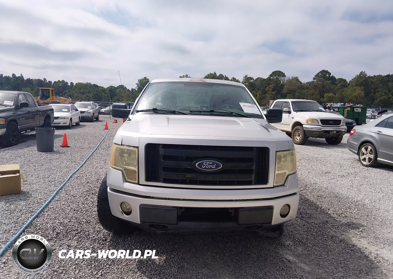 2010 Ford F-150 Stx-Xl VIN:1FTEX1EW8AKA00175 - 12