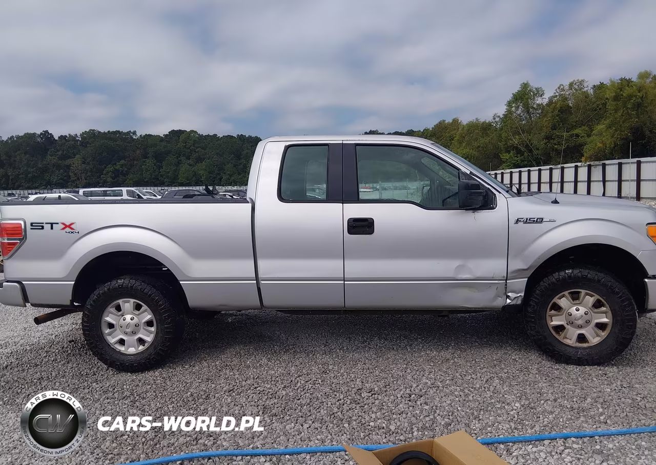 2010 Ford F-150 Stx-Xl VIN:1FTEX1EW8AKA00175 - 13