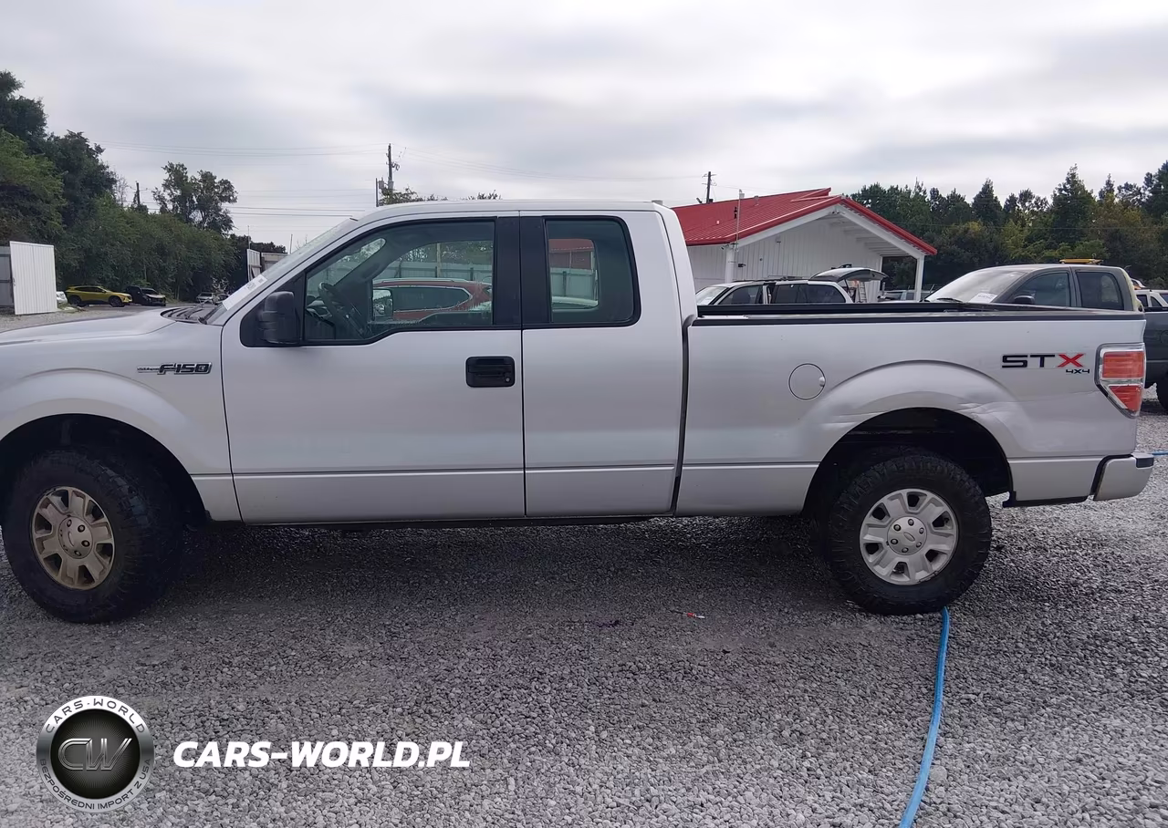 2010 Ford F-150 Stx-Xl VIN:1FTEX1EW8AKA00175 - 14
