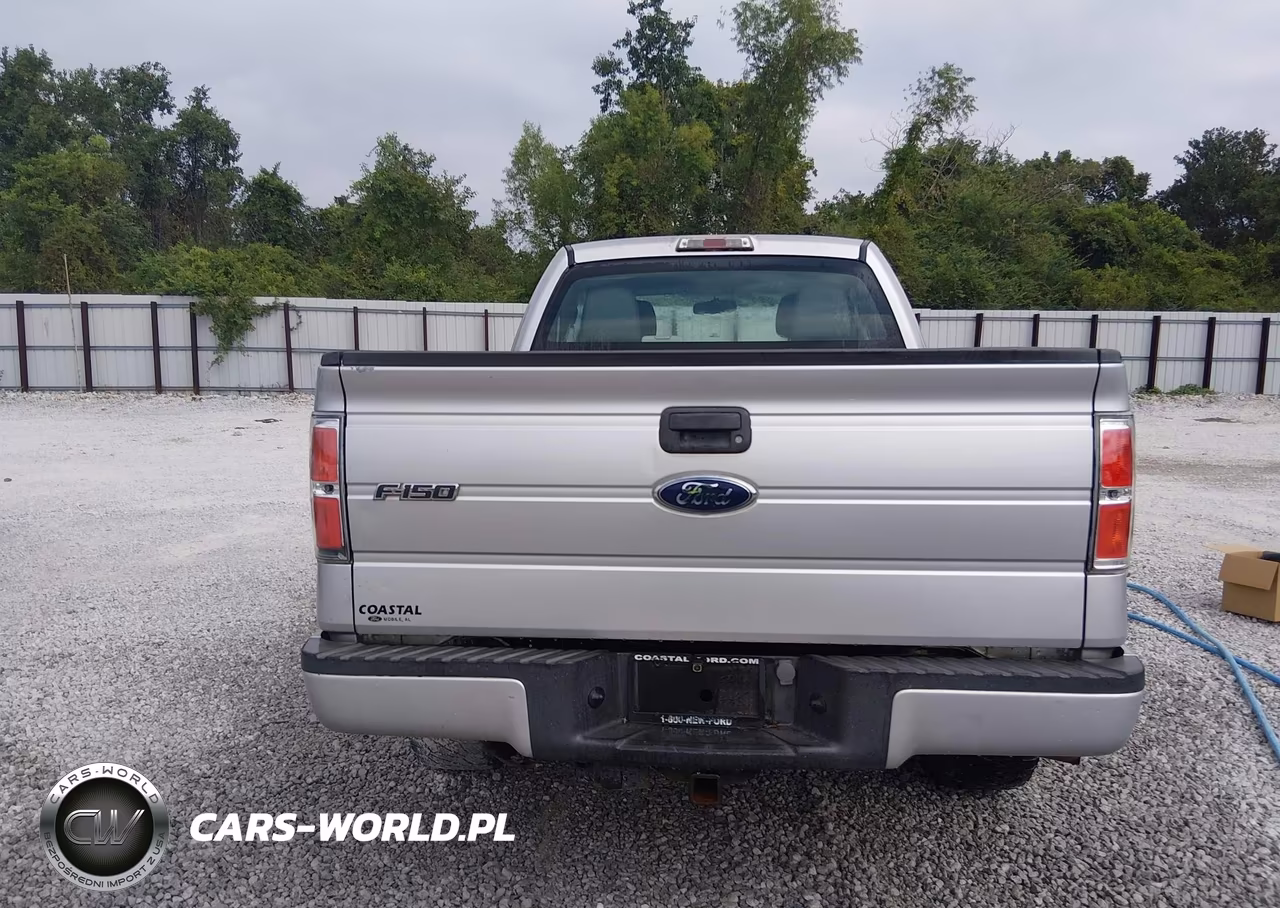 2010 Ford F-150 Stx-Xl VIN:1FTEX1EW8AKA00175 - 16