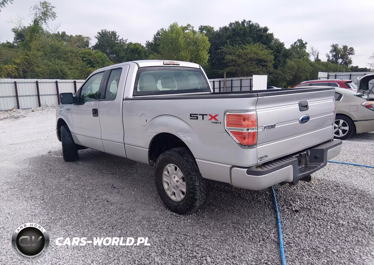 2010 Ford F-150 Stx-Xl VIN:1FTEX1EW8AKA00175 - 3