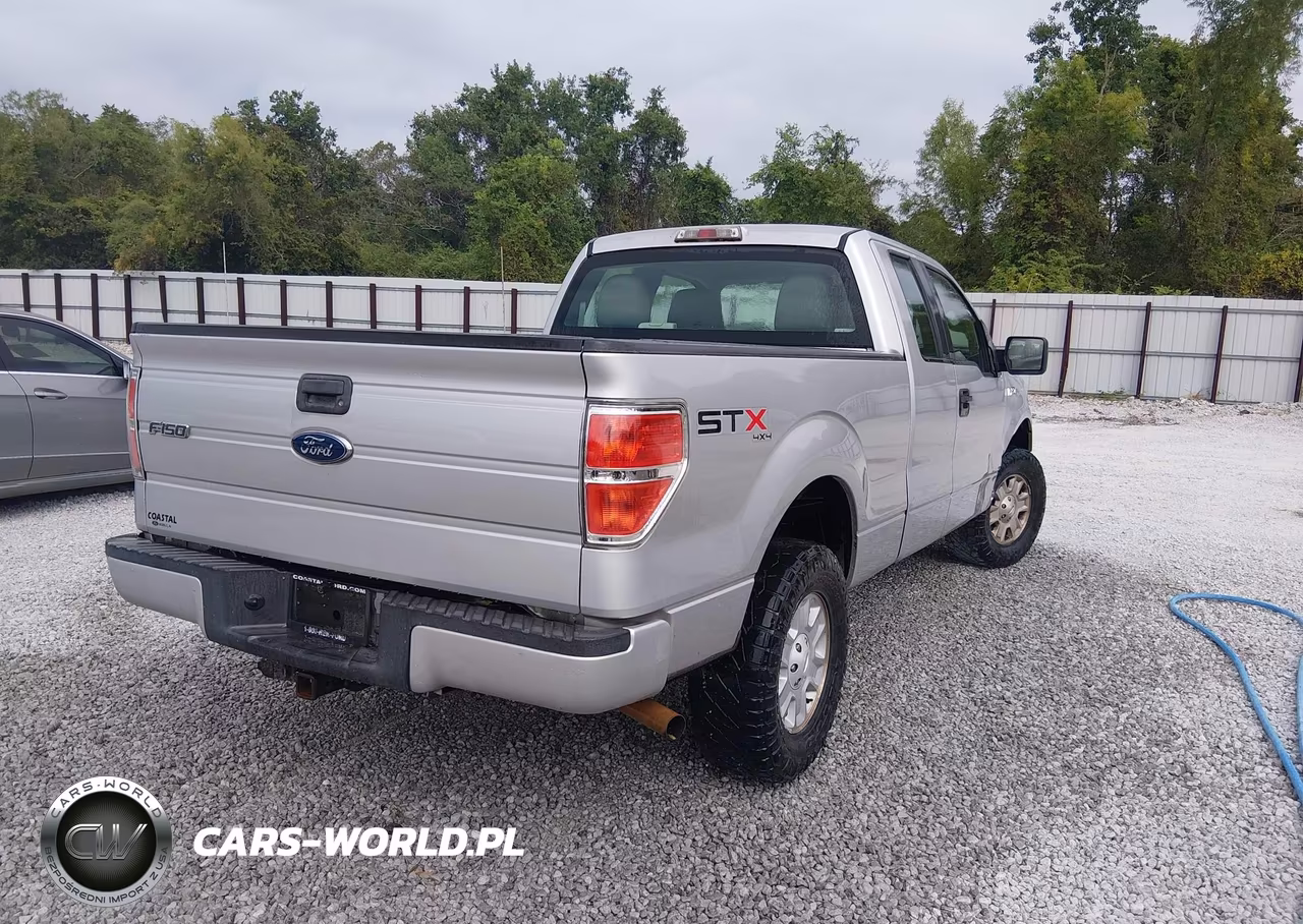 2010 Ford F-150 Stx-Xl VIN:1FTEX1EW8AKA00175 - 4