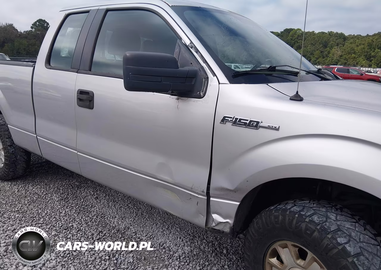 2010 Ford F-150 Stx-Xl VIN:1FTEX1EW8AKA00175 - 6
