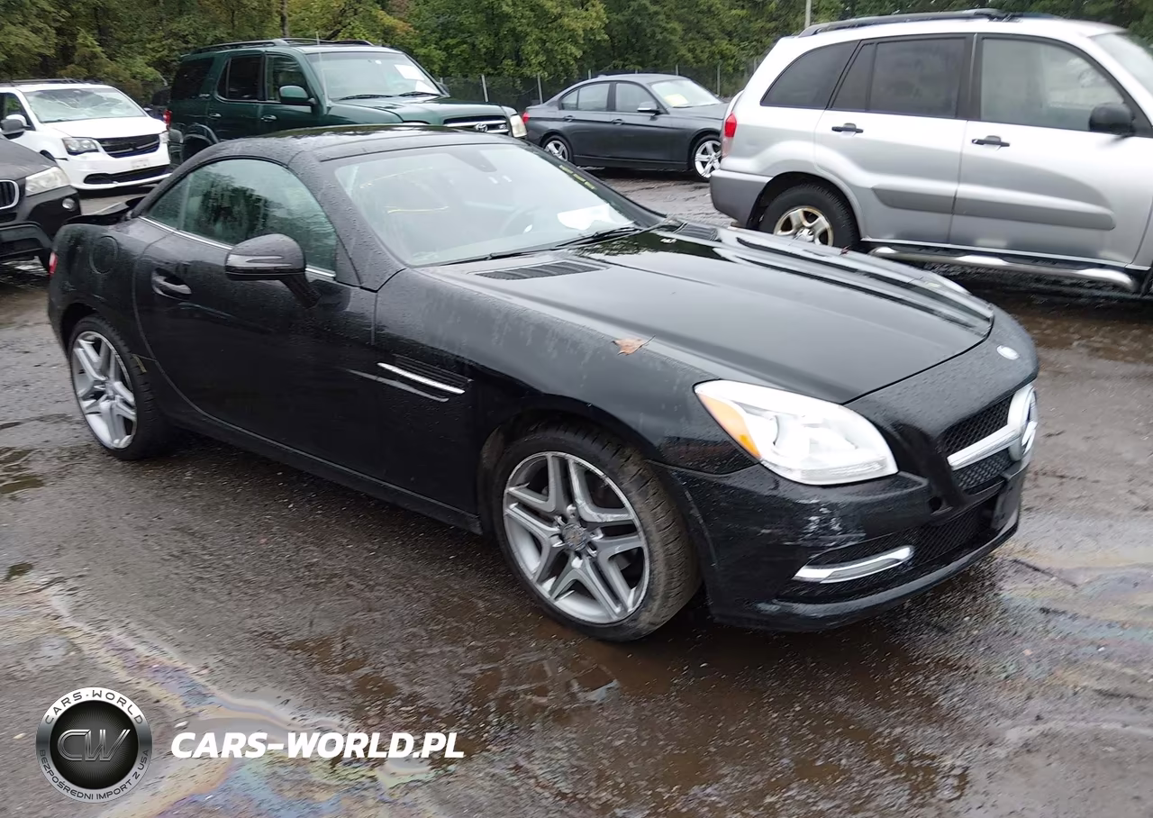 2014 Mercedes-Benz Slk 250