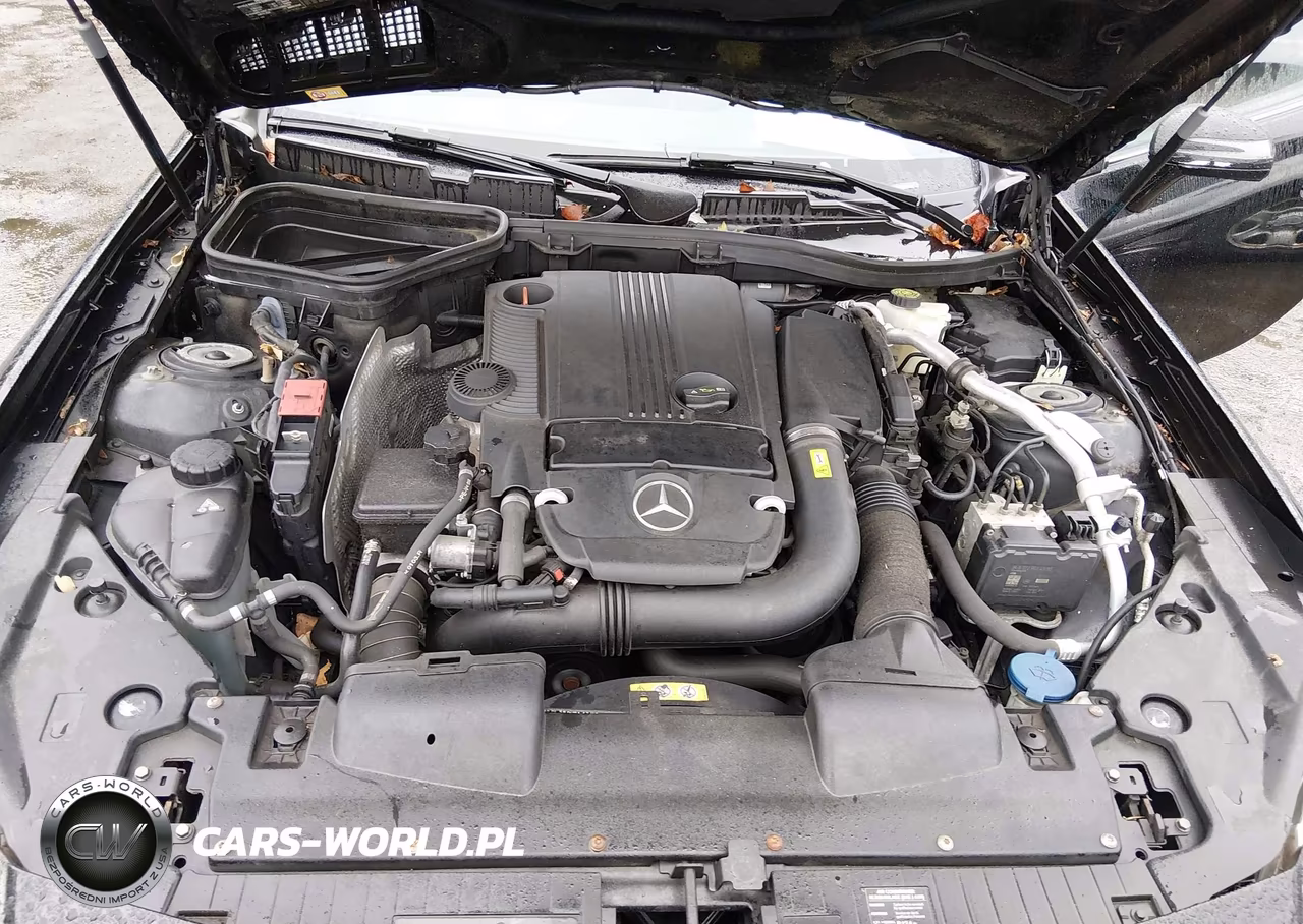 2014 Mercedes-Benz Slk 250 VIN:WDDPK4HA5EF087532 - 10