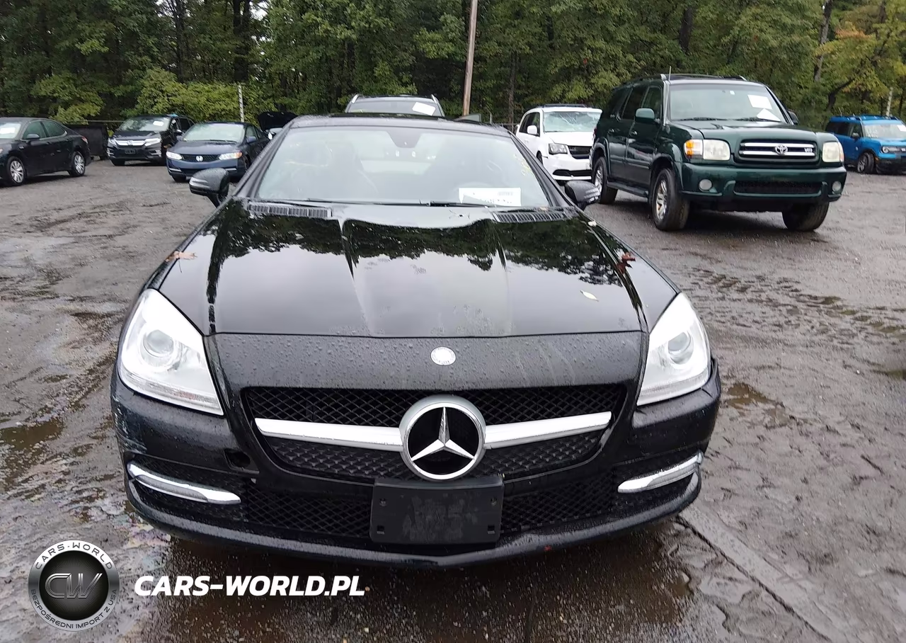 2014 Mercedes-Benz Slk 250 VIN:WDDPK4HA5EF087532 - 12