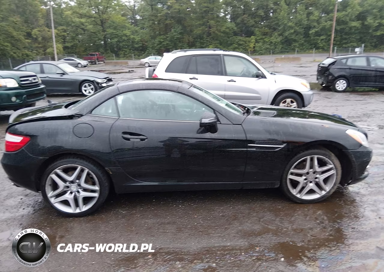 2014 Mercedes-Benz Slk 250 VIN:WDDPK4HA5EF087532 - 13