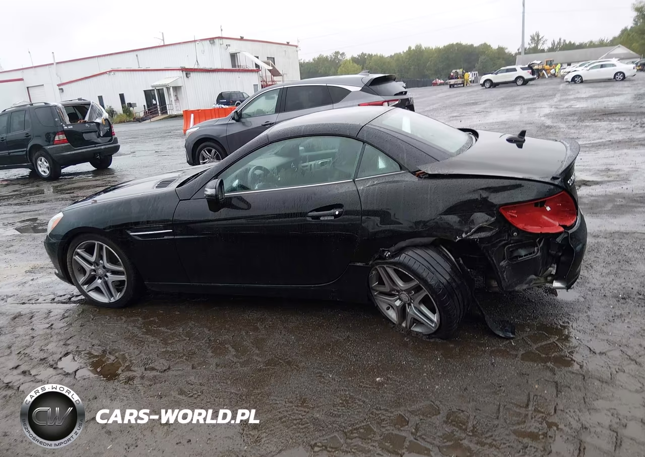 2014 Mercedes-Benz Slk 250 VIN:WDDPK4HA5EF087532 - 14