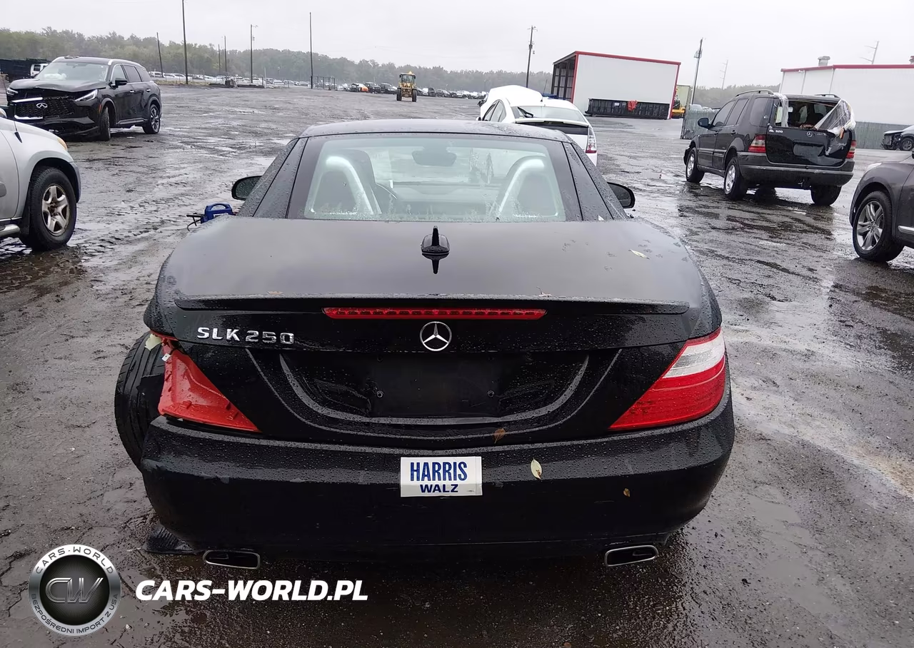 2014 Mercedes-Benz Slk 250 VIN:WDDPK4HA5EF087532 - 16