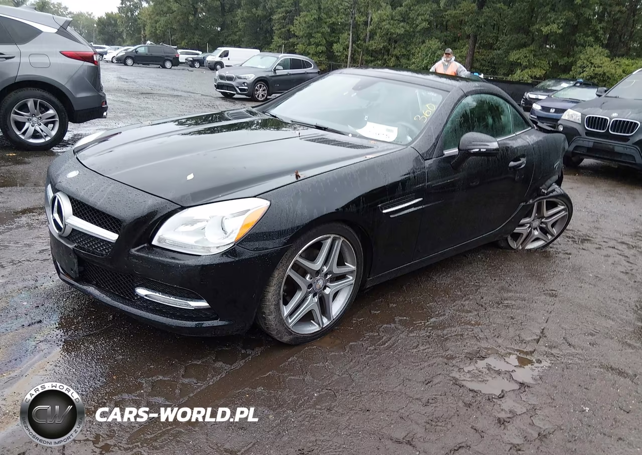 2014 Mercedes-Benz Slk 250 VIN:WDDPK4HA5EF087532 - 2