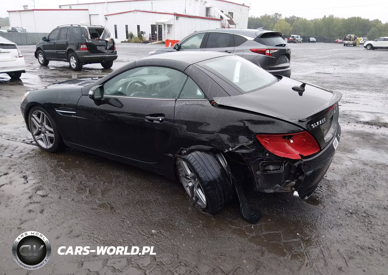 2014 Mercedes-Benz Slk 250 VIN:WDDPK4HA5EF087532 - 3