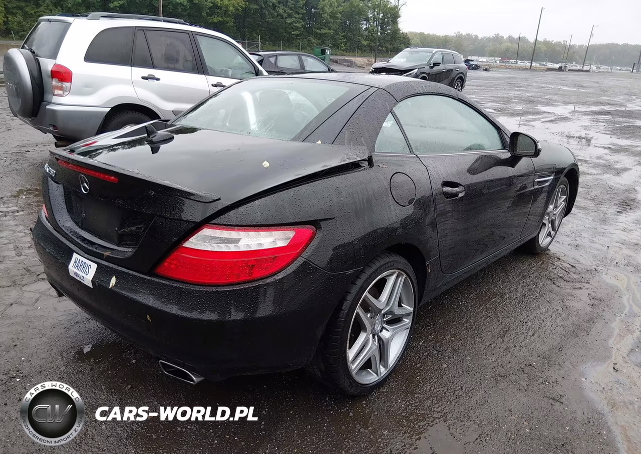 2014 Mercedes-Benz Slk 250 VIN:WDDPK4HA5EF087532 - 4