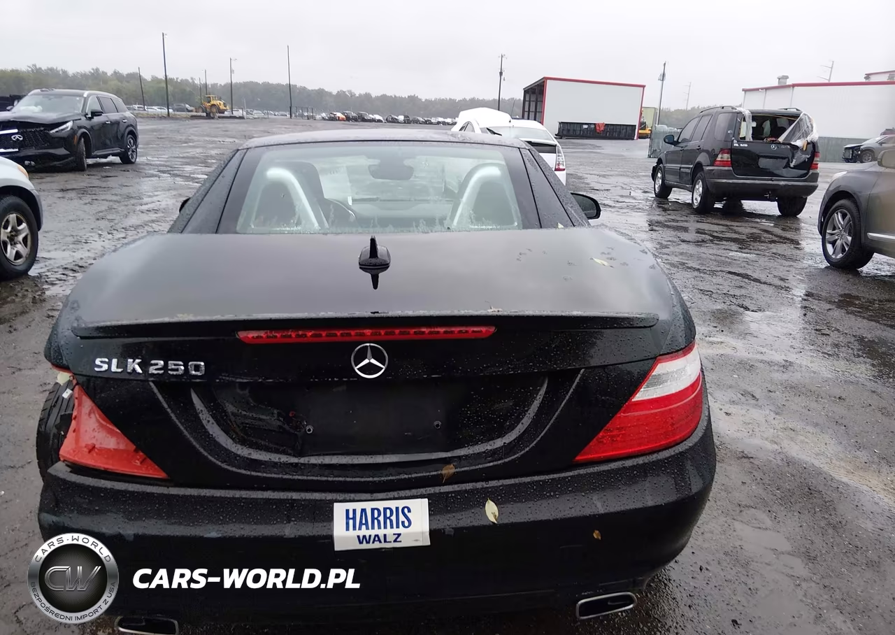 2014 Mercedes-Benz Slk 250 VIN:WDDPK4HA5EF087532 - 8
