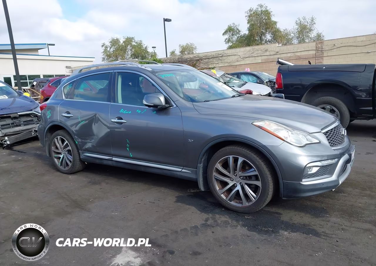 2016 Infiniti Qx50 VIN:JN1BJ0RP9GM235699 - 13