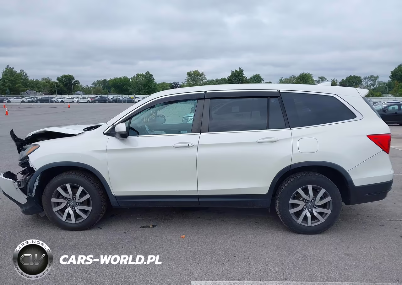 2019 Honda Pilot Exl VIN:5FNYF6H57KB054145 - 14