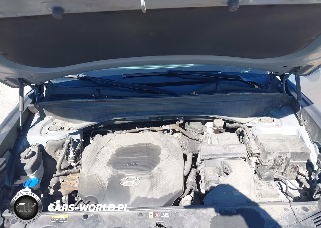 2020 Hyundai Palisade Se VIN:KM8R1DHE5LU067908 - 10