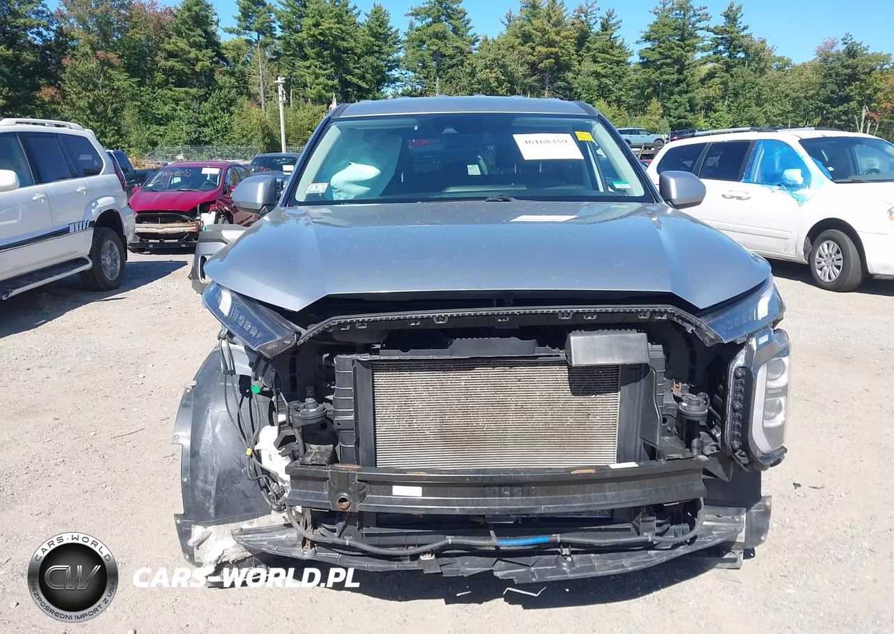 2020 Hyundai Palisade Se VIN:KM8R1DHE5LU067908 - 13