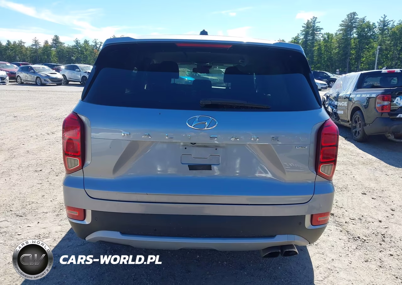 2020 Hyundai Palisade Se VIN:KM8R1DHE5LU067908 - 17