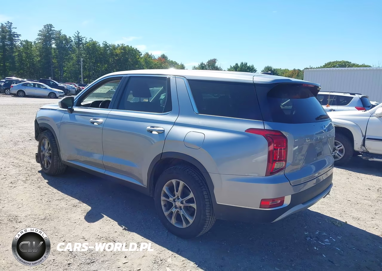 2020 Hyundai Palisade Se VIN:KM8R1DHE5LU067908 - 3