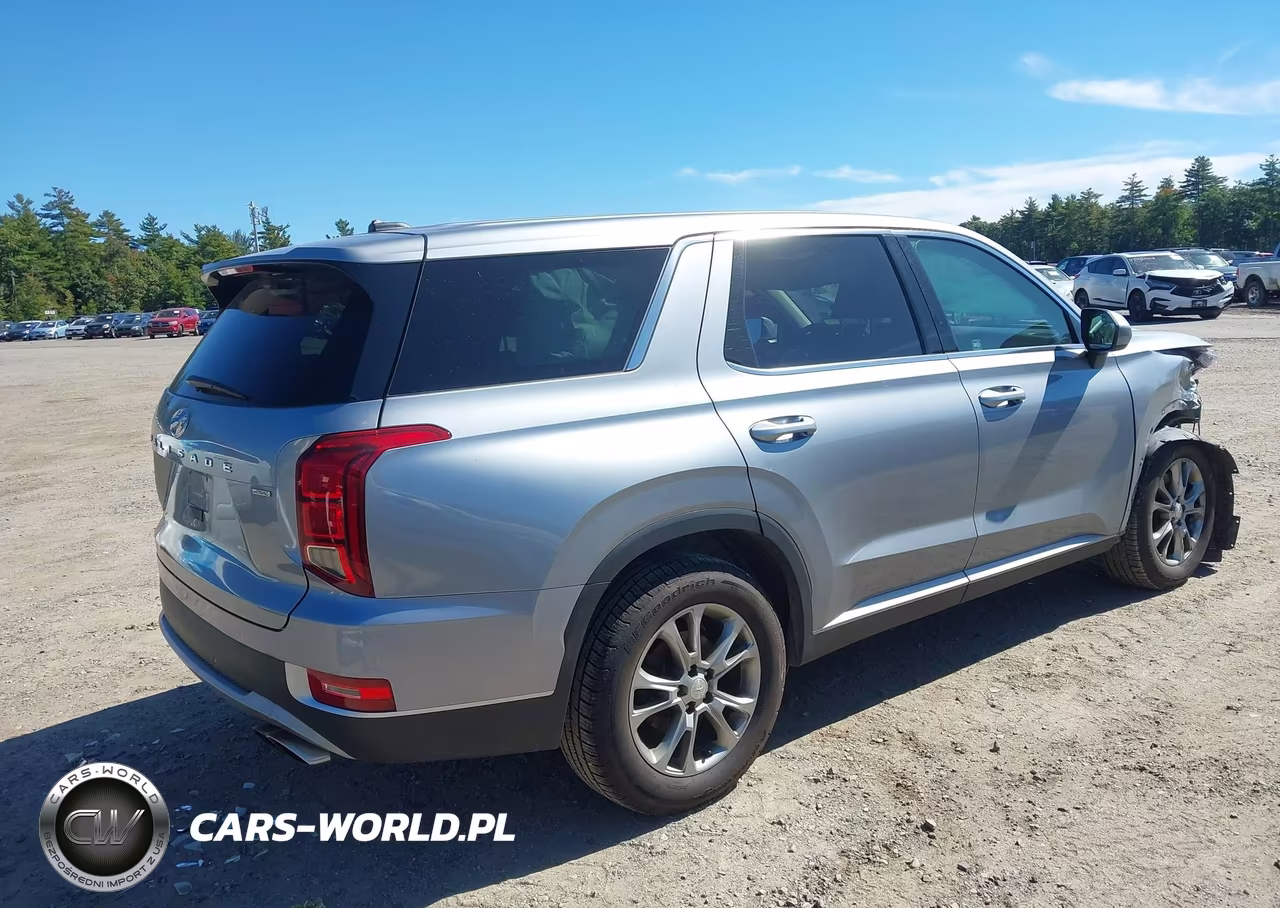 2020 Hyundai Palisade Se VIN:KM8R1DHE5LU067908 - 4