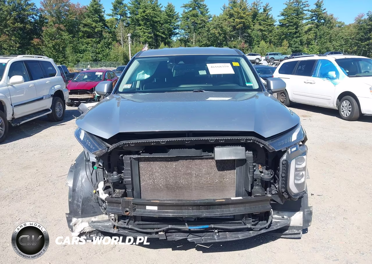 2020 Hyundai Palisade Se VIN:KM8R1DHE5LU067908 - 6