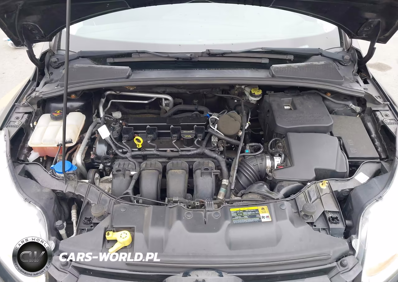 2012 Ford Focus Sel VIN:1FAHP3M25CL295696 - 10