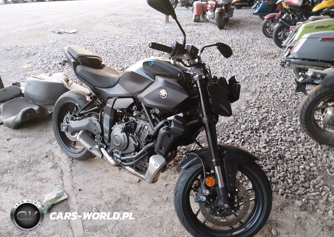 2025 Yamaha Mtn690