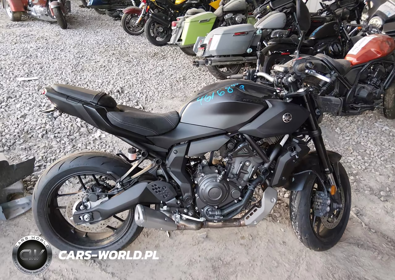 2025 Yamaha Mtn690 VIN:JYARM48E1SA003324 - 12