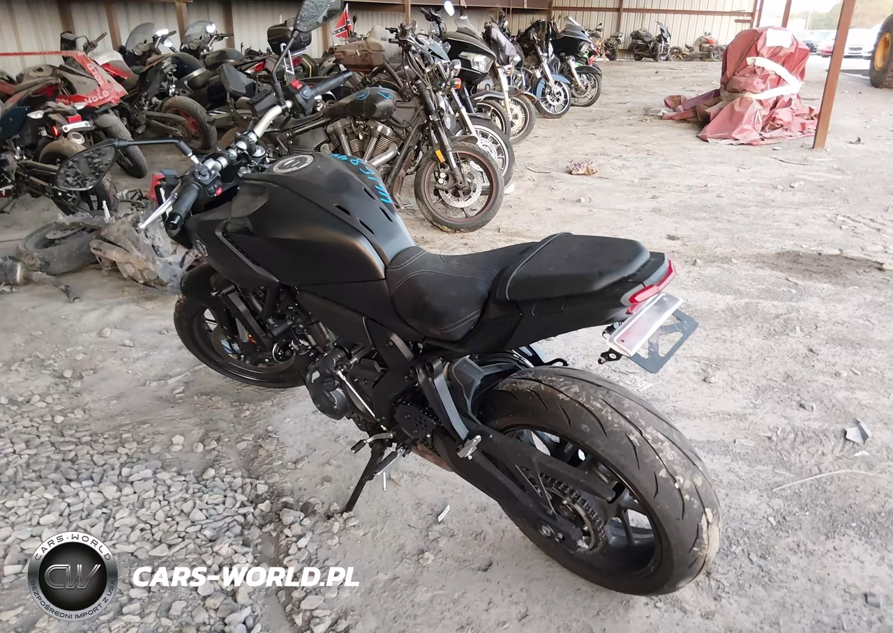 2025 Yamaha Mtn690 VIN:JYARM48E1SA003324 - 3