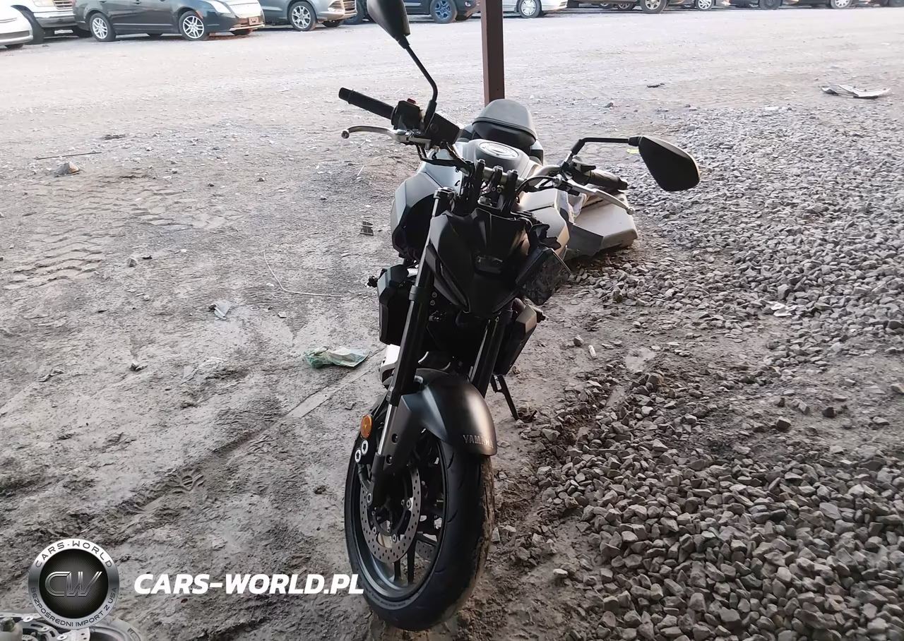 2025 Yamaha Mtn690 VIN:JYARM48E1SA003324 - 5