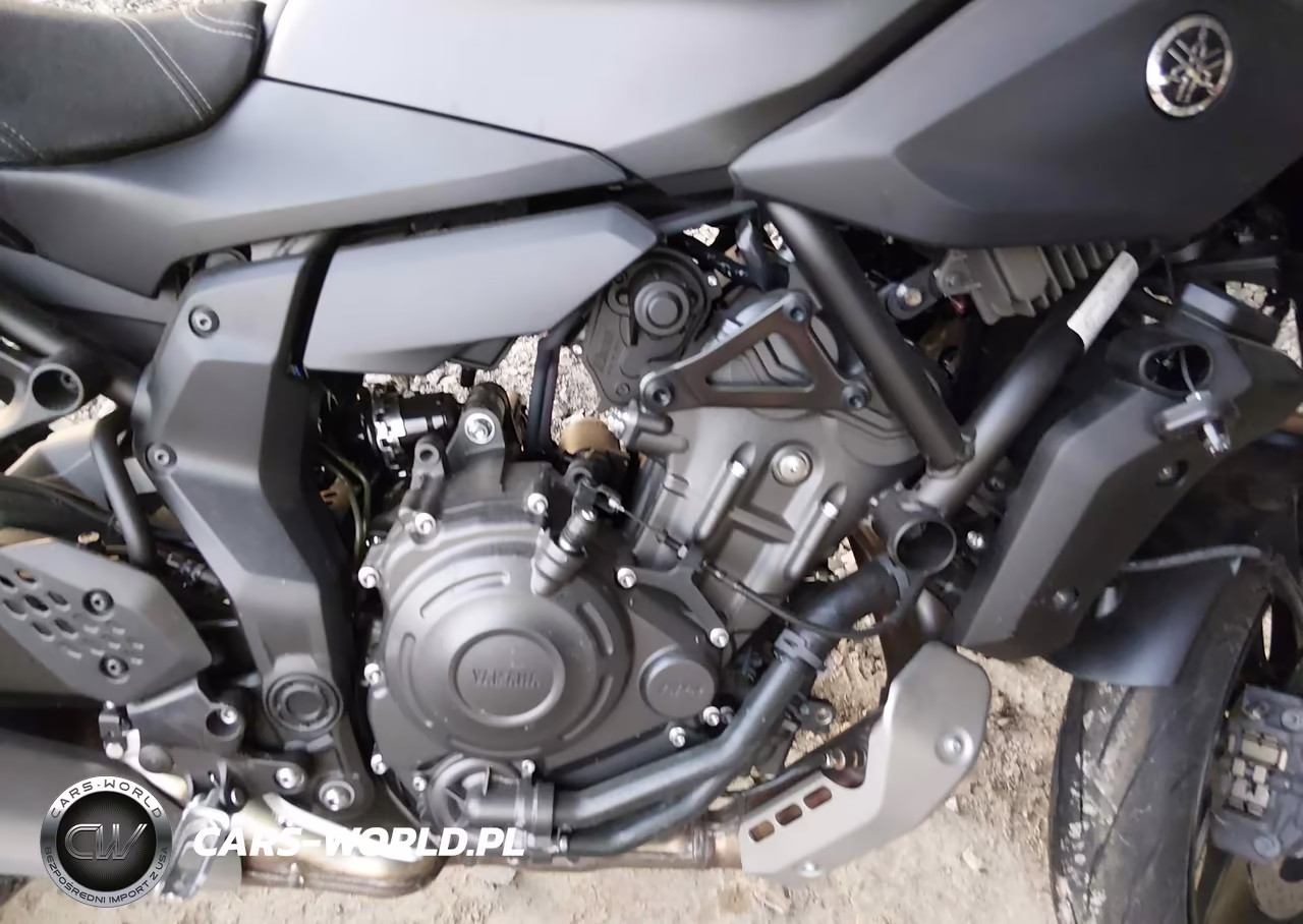 2025 Yamaha Mtn690 VIN:JYARM48E1SA003324 - 8