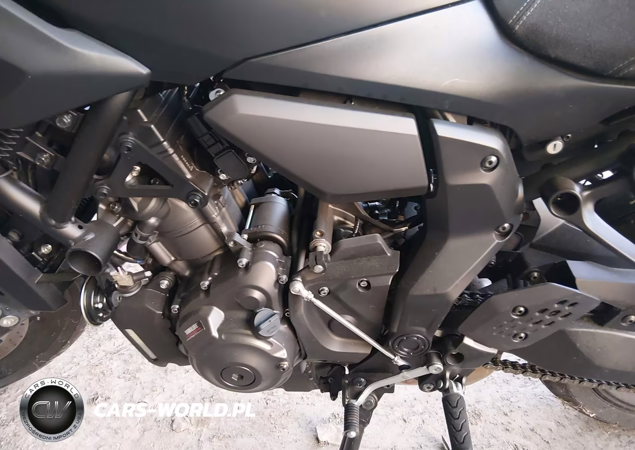 2025 Yamaha Mtn690 VIN:JYARM48E1SA003324 - 9