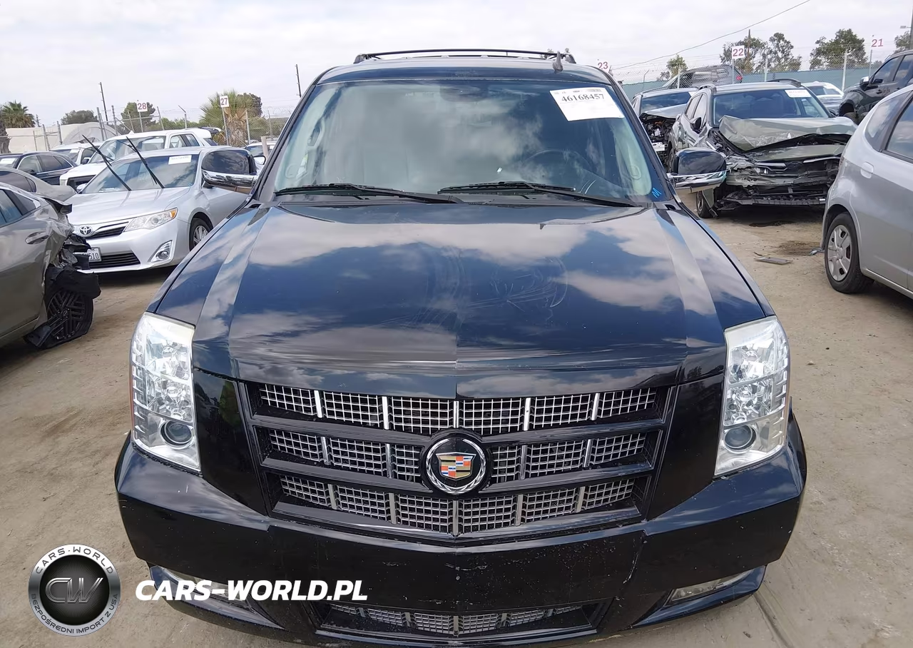 2013 Cadillac Escalade Premium VIN:1GYS3CEF6DR120413 - 12