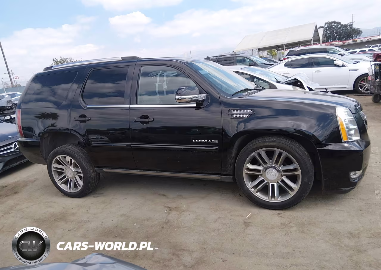 2013 Cadillac Escalade Premium VIN:1GYS3CEF6DR120413 - 13