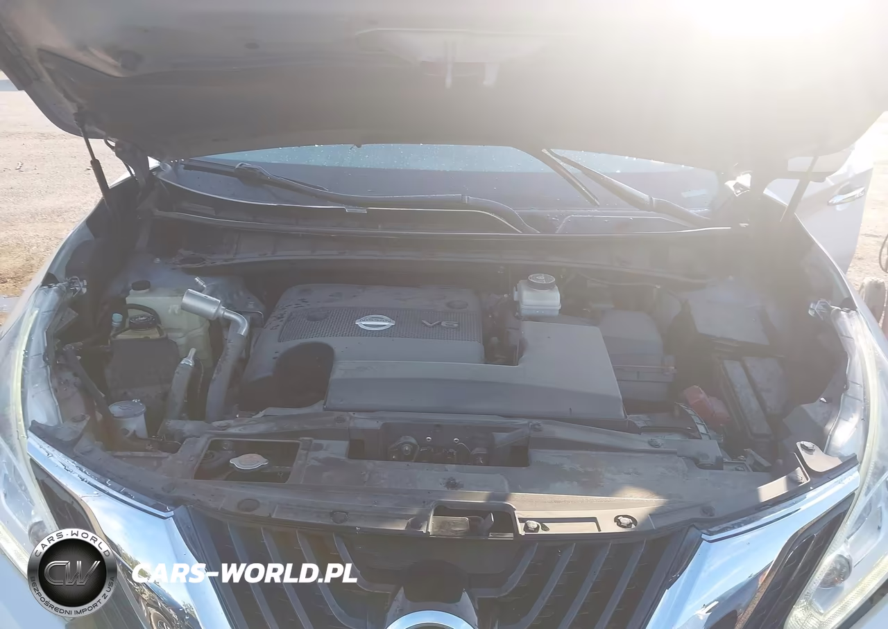 2015 Nissan Murano Platinum VIN:5N1AZ2MH6FN223219 - 10
