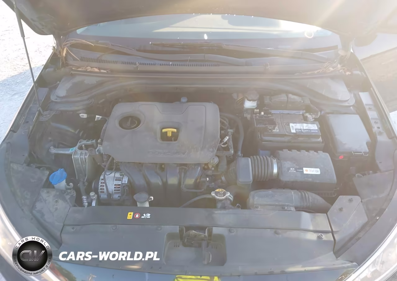 2019 Hyundai Elantra Sel VIN:5NPD84LF5KH411496 - 10