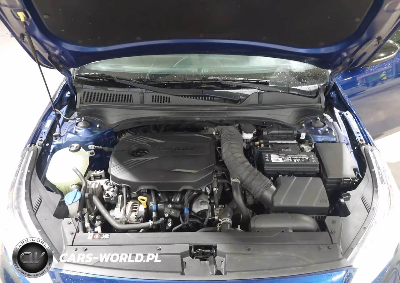 2020 Kia Forte Gt Manual VIN:3KPF44AC1LE155392 - 10