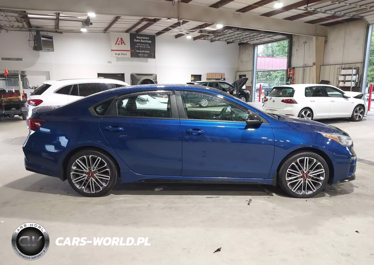2020 Kia Forte Gt Manual VIN:3KPF44AC1LE155392 - 13