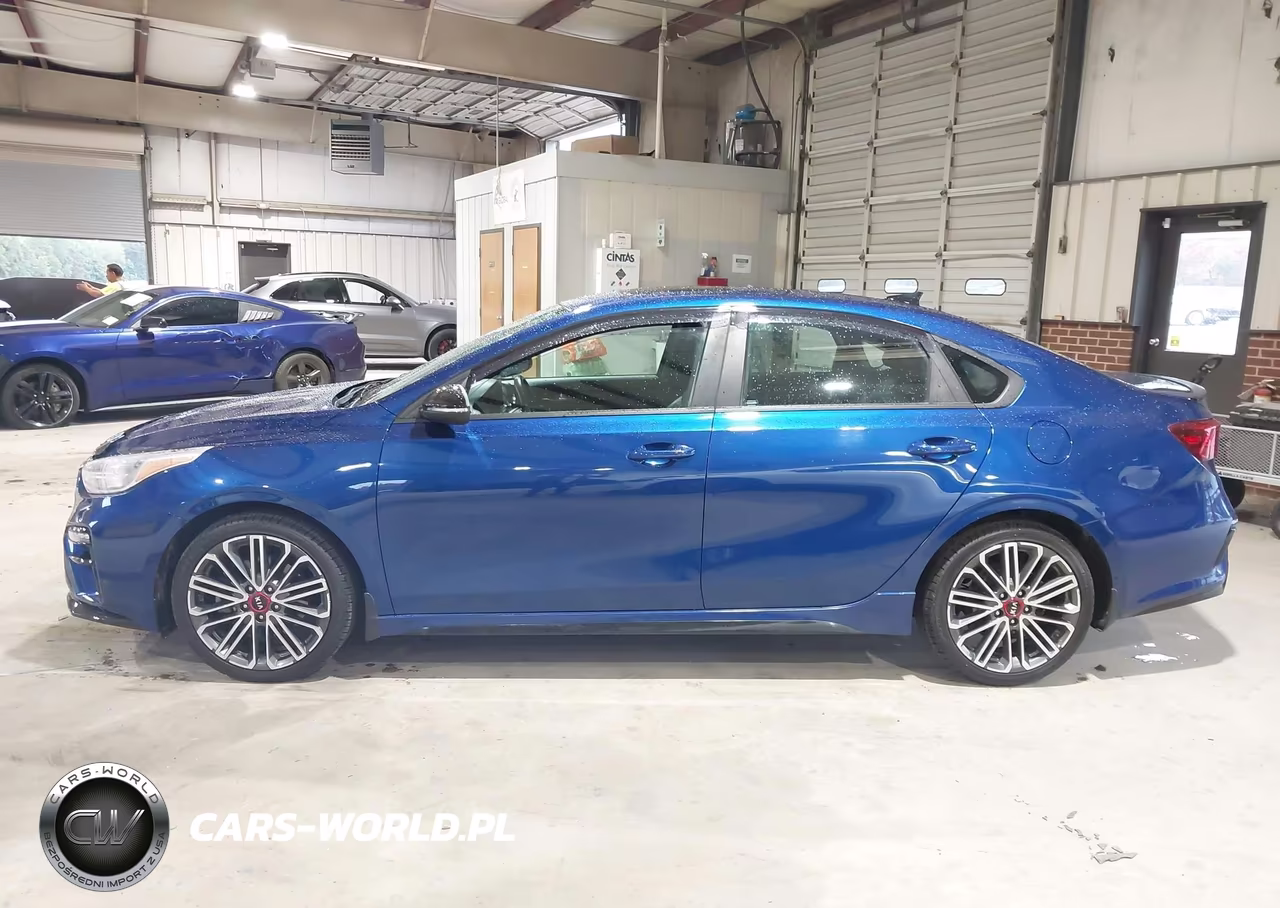 2020 Kia Forte Gt Manual VIN:3KPF44AC1LE155392 - 14