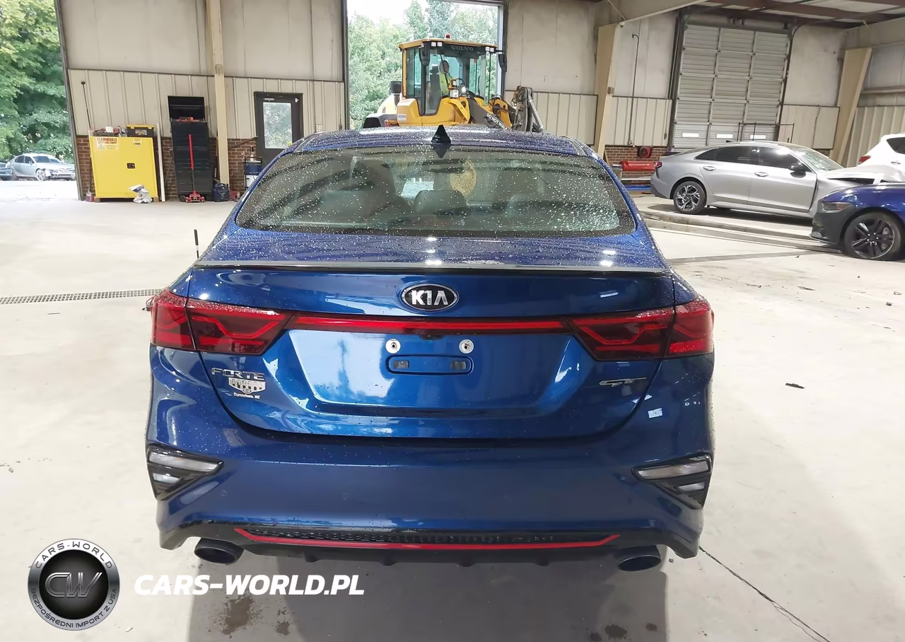 2020 Kia Forte Gt Manual VIN:3KPF44AC1LE155392 - 16