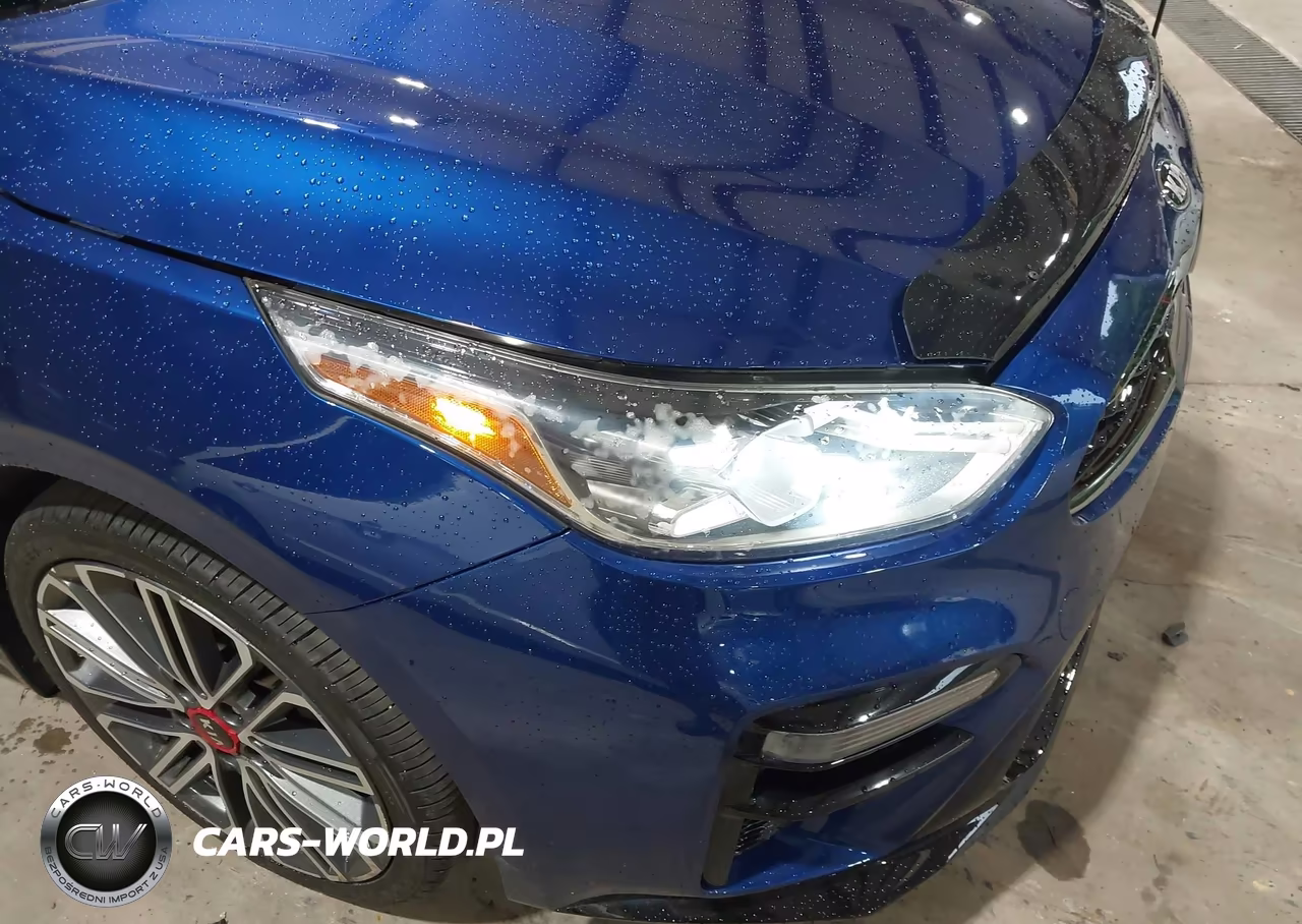 2020 Kia Forte Gt Manual VIN:3KPF44AC1LE155392 - 6