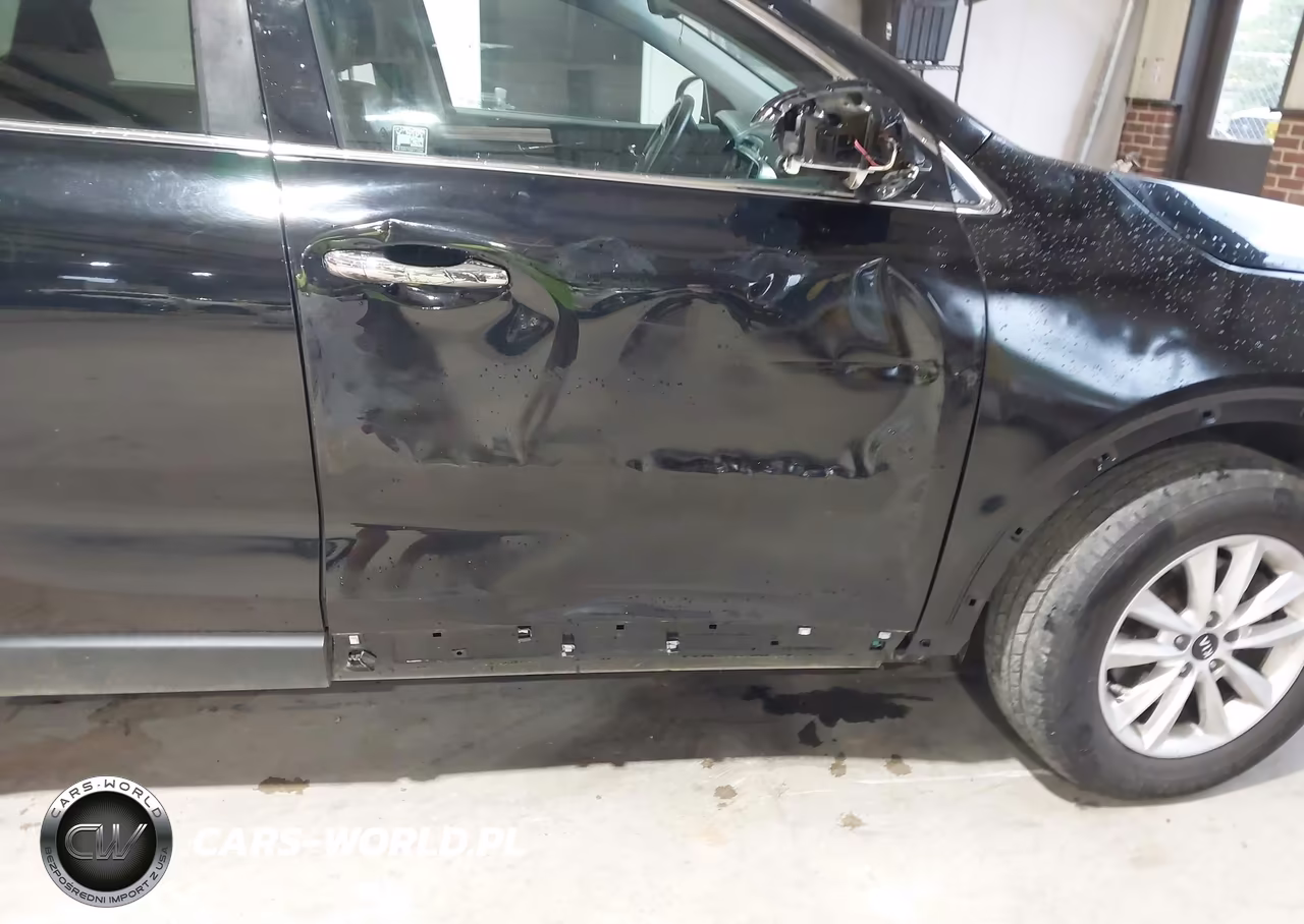 2019 Kia Sorento 2.4L Lx VIN:5XYPG4A37KG476527 - 17