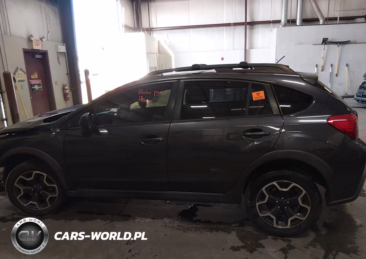 2014 Subaru Xv Crosstrek 2.0I Premium VIN:JF2GPAVC3E8323214 - 14