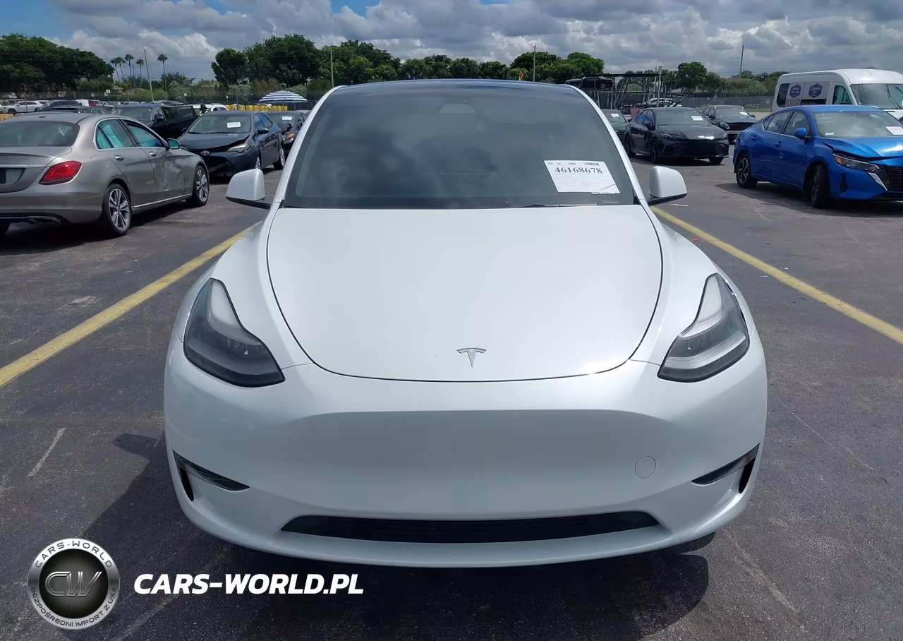 2023 Tesla Model Y Awd-Long Range Dual Motor All-Wheel Drive VIN:7SAYGDEE8PF596502 - 12
