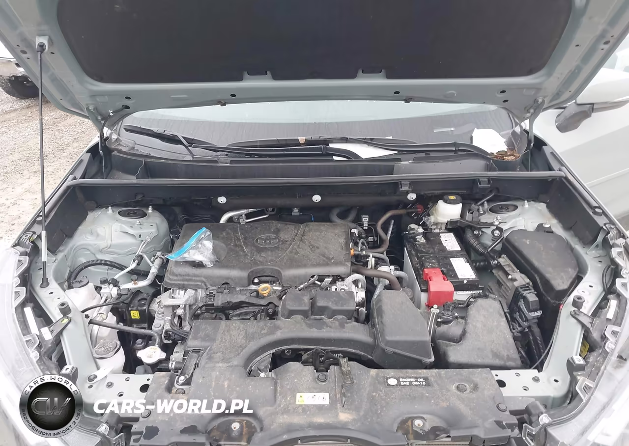 2022 Toyota Rav4 Xle VIN:2T3P1RFVXNW307231 - 10